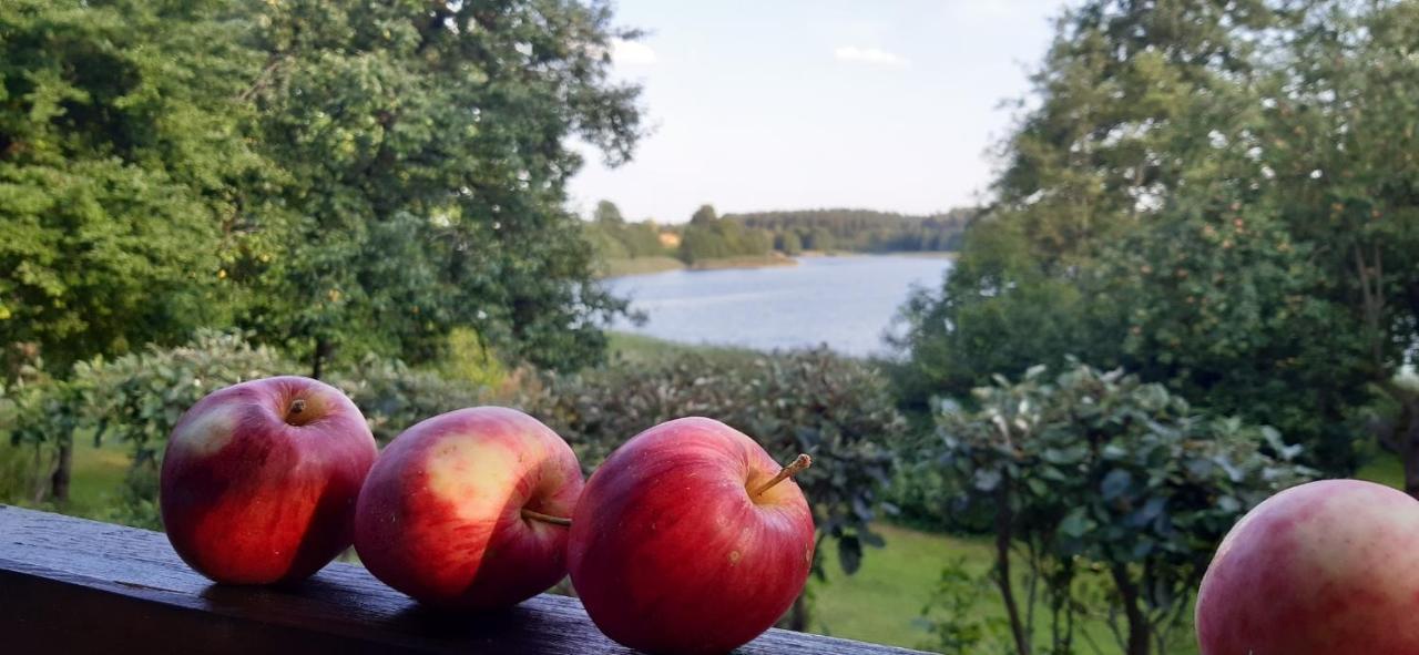 Agroturystyka Nad Czarnym Giby Exteriér fotografie