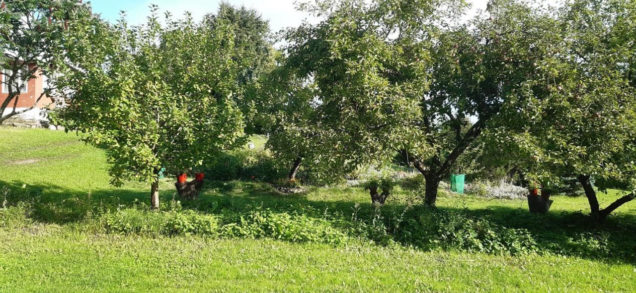 Agroturystyka Nad Czarnym Giby Exteriér fotografie