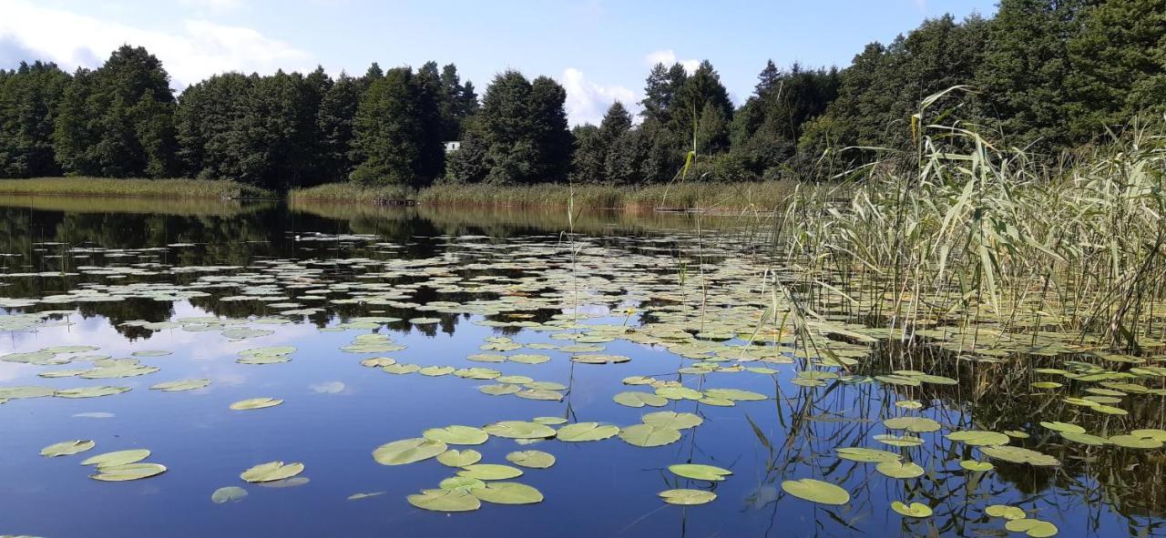 Agroturystyka Nad Czarnym Giby Exteriér fotografie